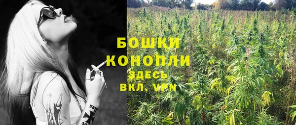 гидропоника Нея