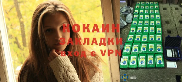 дживик Новозыбков