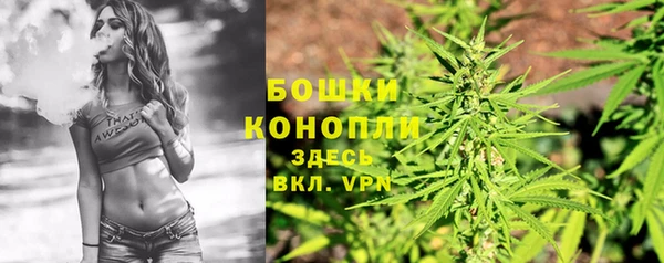 эйфоретик Грязи