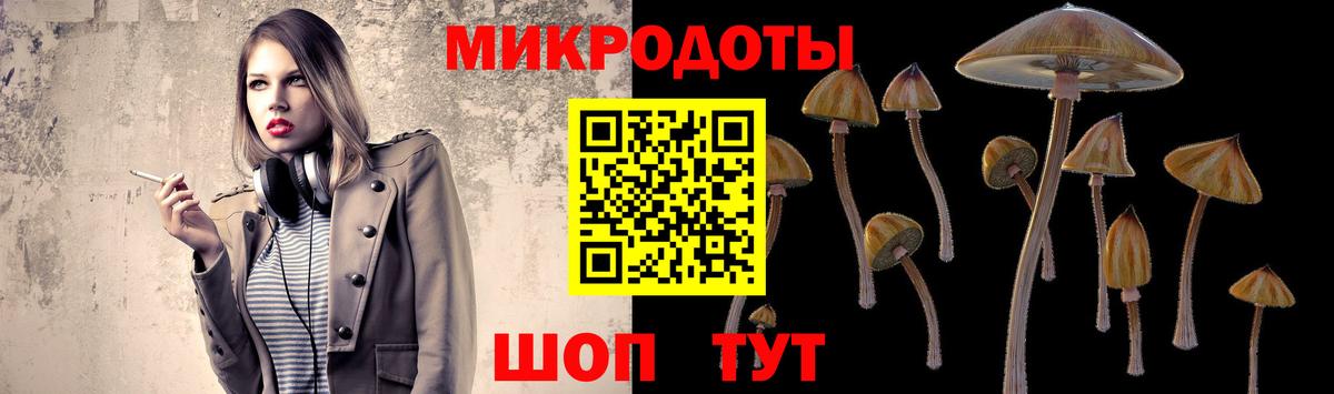 Псилоцибиновые грибы MAGIC MUSHROOMS  Галлюциногенные грибы Cubensis  Тулун  Вход с VPN 